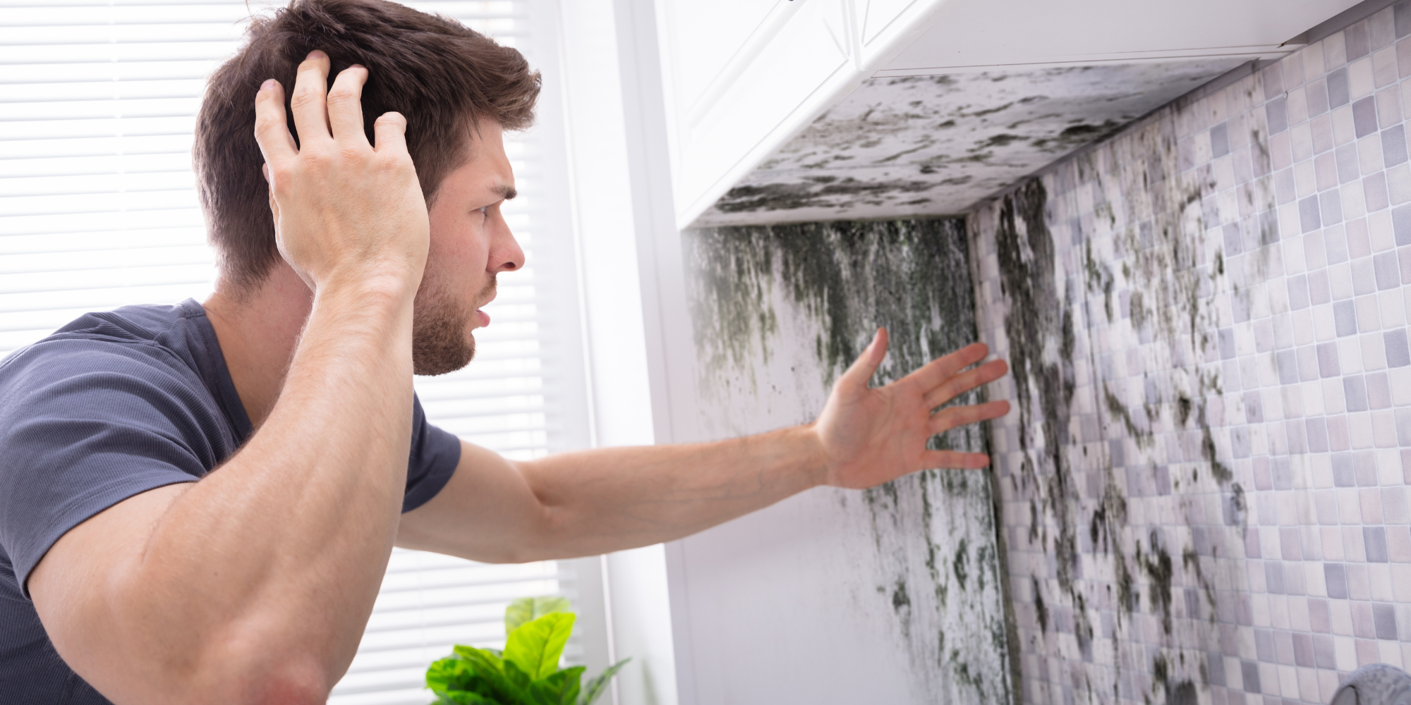 evde küf temizleme ve doğal küf önleme yöntemleri