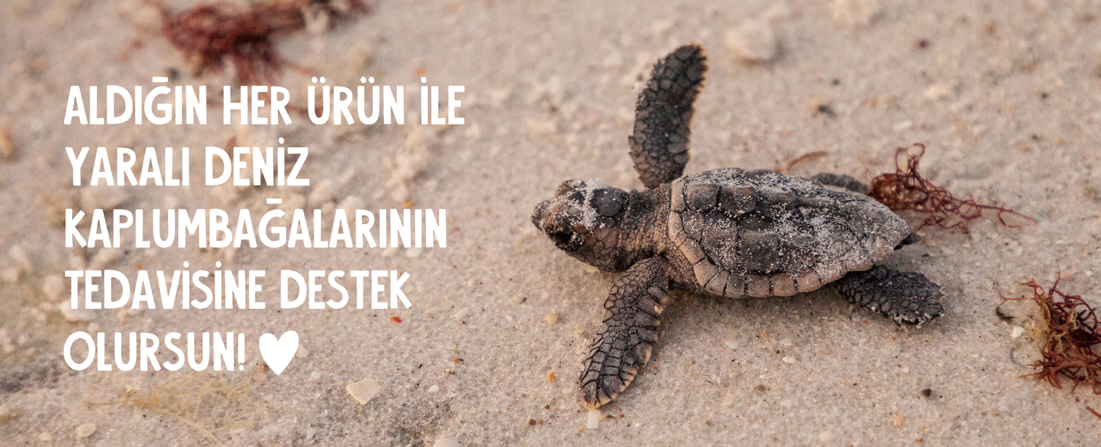 aldiginiz her urun ile yarali deniz lkaplumbagalarinin tedavisine destek olursun 