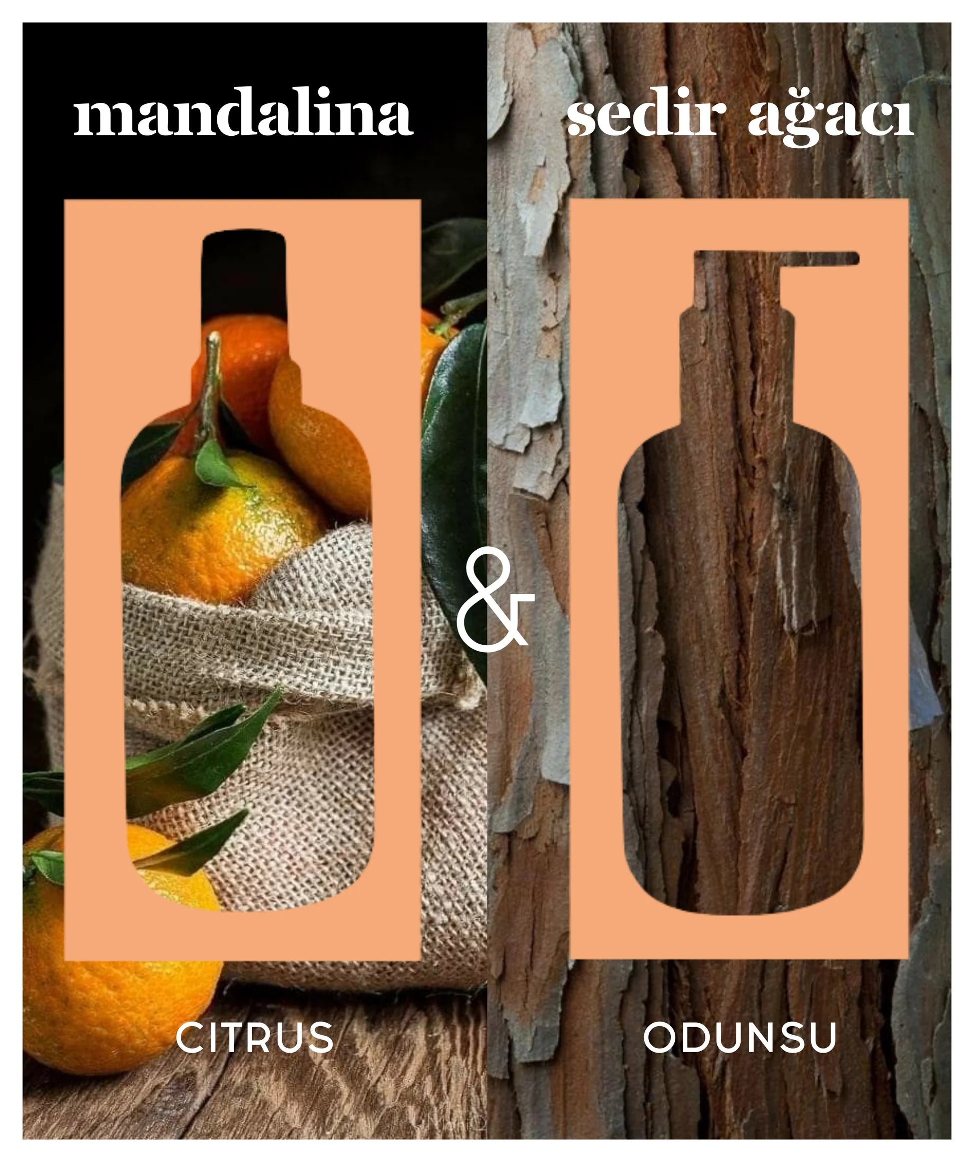 Lindos Naturals Aromaterapik Soya Mumu Mandarin & Cedar – %100 saf uçucu yağlarla hazırlanan, Akdeniz aromalı doğal soya mumu