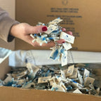 Kaplumbağa Anahtarlık