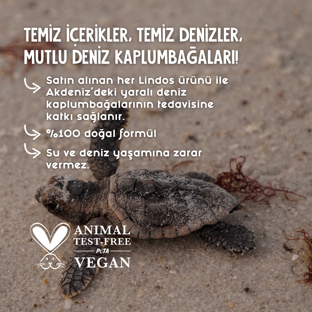 Kumdaki yavru deniz kaplumbağası; her Lindos ürünü Akdeniz'deki kaplumbağaların tedavisine katkı sağlar